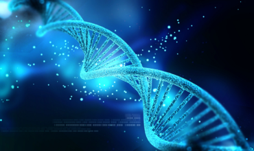 DNA helix
